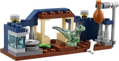 Baby Velociraptor Laufstall bei Amazon bestellen