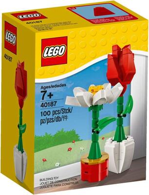 Blumenpracht bei Amazon bestellen