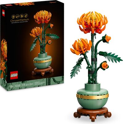 Chrysantheme bei Amazon bestellen