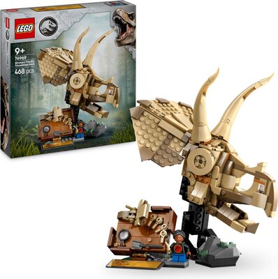 Dinosaur Fossils: Triceratops Skull bei Amazon bestellen