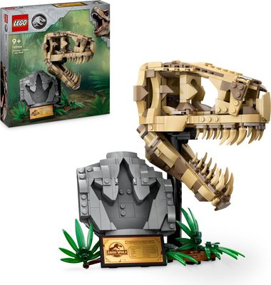 Dinosaurier-Fossilien: T-Rex-Kopf bei Amazon bestellen