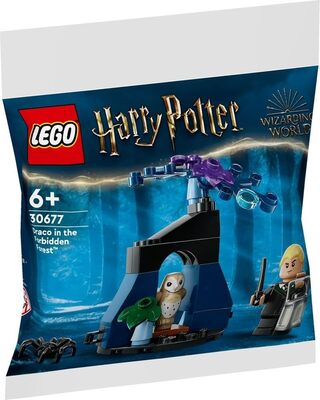 Draco im Verbotenen Wald bei Amazon bestellen
