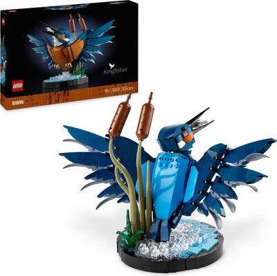 Eisvogel bei Amazon bestellen