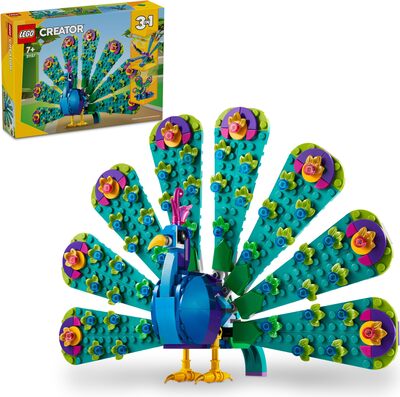 Exotischer Pfau bei Amazon bestellen