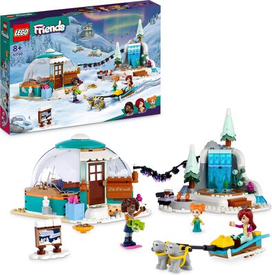 Ferien im Iglu bei Amazon bestellen
