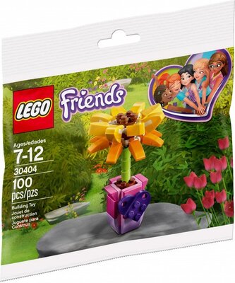 Freundschaftsblume bei Amazon bestellen