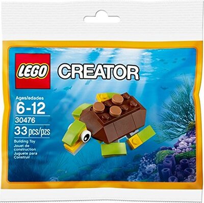 Fröhliche Schildkröte bei Amazon bestellen