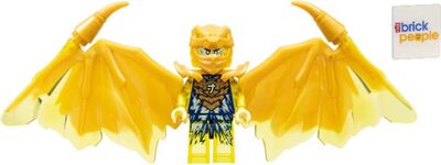 Golden Dragon Jay bei Amazon bestellen