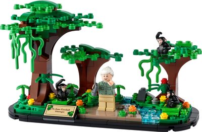 Hommage an Jane Goodall bei Amazon bestellen