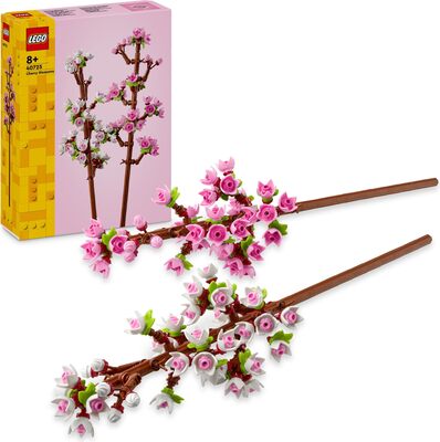 Kirschblüten bei Amazon bestellen