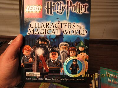 LEGO Harry Potter: Characters of the Magical World bei Amazon bestellen