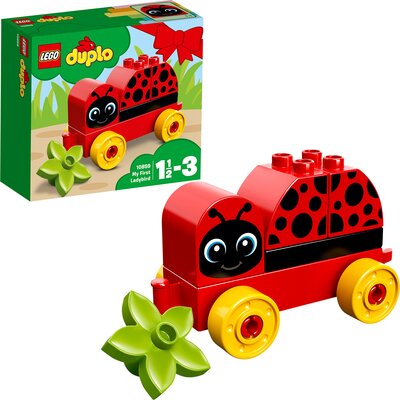 Mein erster Marienkäfer - erste Bauerfolge bei Amazon bestellen