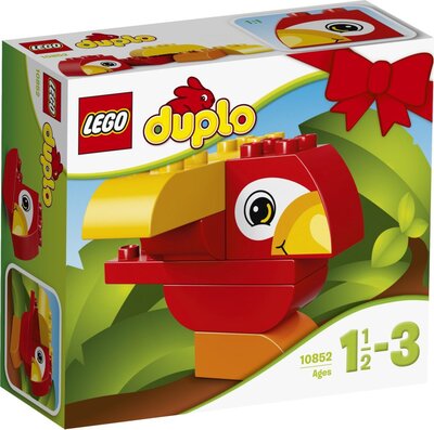 Mein erster Papagei bei Amazon bestellen