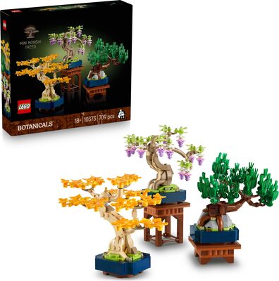 Mini Bonsai Trees bei Amazon bestellen