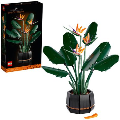 Paradiesvogelblume bei Amazon bestellen