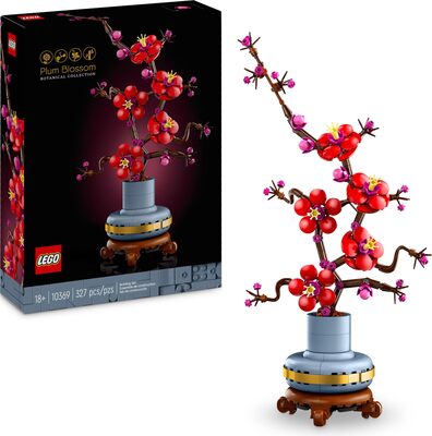 Pflaumenblüte bei Amazon bestellen