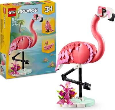 Pink Flamingo bei Amazon bestellen