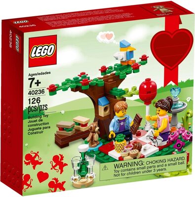 Romantisches Picknick am Valentinstag bei Amazon bestellen