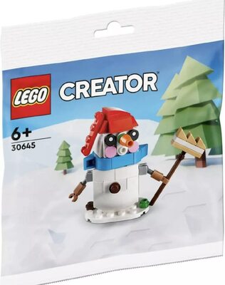 Schneemann bei Amazon bestellen