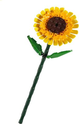 Sonnenblumen bei Amazon bestellen