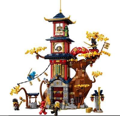 Alle Details zum LEGO-Set Tempel der Drachenpower und ähnlichen Sets