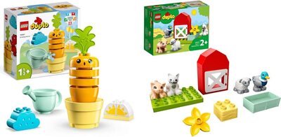 Wachsende Karotte bei Amazon bestellen