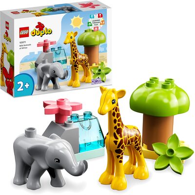 Wilde Tiere Afrikas bei Amazon bestellen