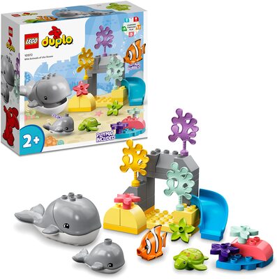 Wilde Tiere des Ozeans bei Amazon bestellen